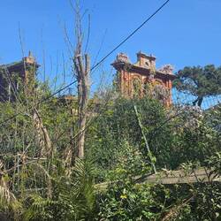 Trotzki-Haus/Ruine