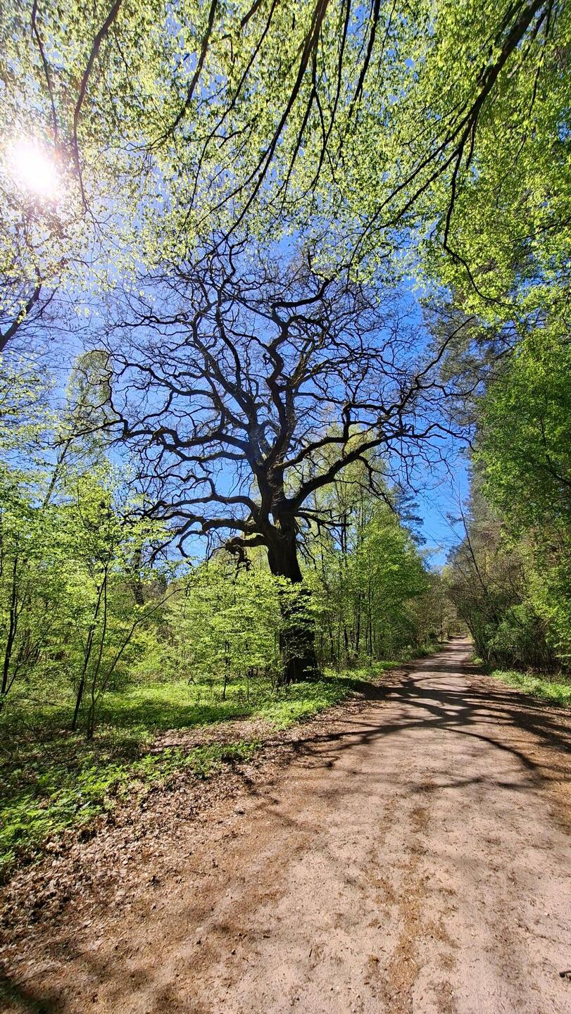 Unterwegs entdeckt