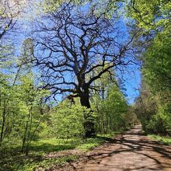 Unterwegs entdeckt