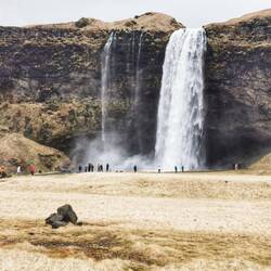 Seljalandfoss