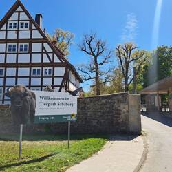Tierpark Sababurg