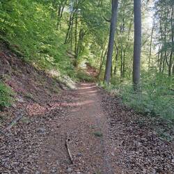 märchenhafte Wanderwege
