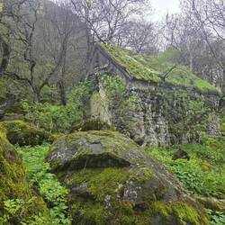 Church of the holy mother of god