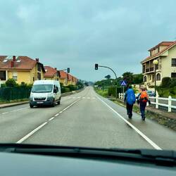 die wanderten ständig alle an der Straße entlang 🤷‍♀️