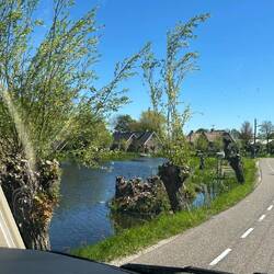 Die romantische Strasse