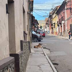 Street scene in Potosi