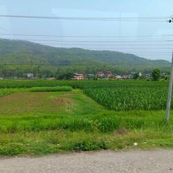 Corn fields and village on the way to the airport