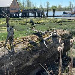 Some more driftwood that looks like birds.