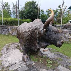 Yak statue in front of the mountain museum