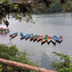 Colorful boats on the lake at Pokhara