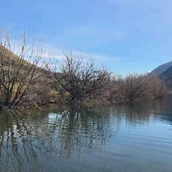 Lake Coleridge