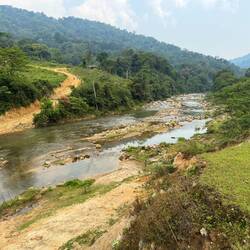 We paused by a beautiful section on the Nam Phao river and felt at peace.