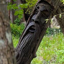 Holzkunst