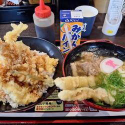 Udon Nudeln und Tempura Schrimps