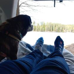 Obligatorischen Camperdoto,Heckklappe auf,Füße und Hund im Blick zum Wasser