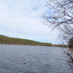 Lochness🤔?...nein,der Lövsjön