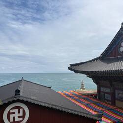Der Haedong Yonggungsa-Tempel direkt am Meer ist wunderschön.