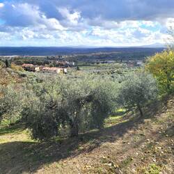 Lucignano - Panorama