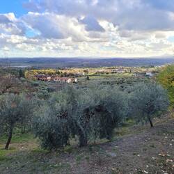 Lucignano - Panorama