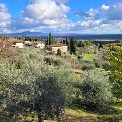 Lucignano - Panorama