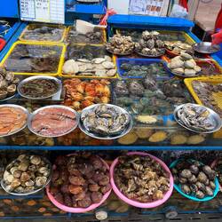 You can get almost any fish imaginable at the market.