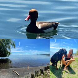 Pause am Bolsena See 😉