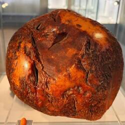 Der grösste Bernstein mit 3.5 kg in diesem Museum
