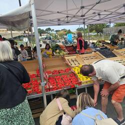 Markt im Ort