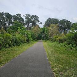 Fahrradweg