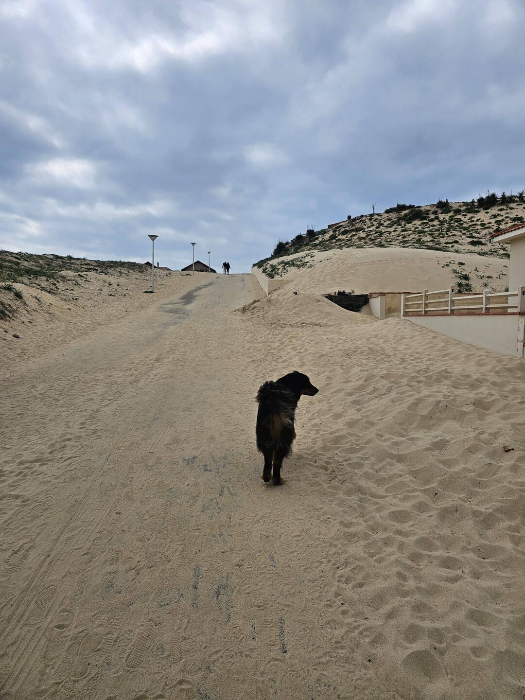Der Weg zum Strand