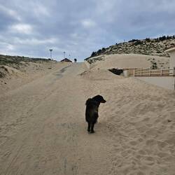 Der Weg zum Strand