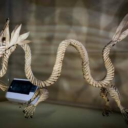 Dragon made with bamboo strips ... from China ... Orto Botanico.