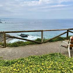 Picknick mit Blick