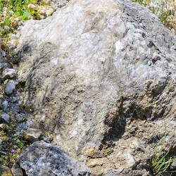 ist das Bergkristall?