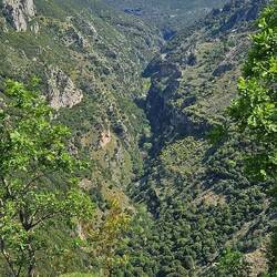 Blick in die Schlucht