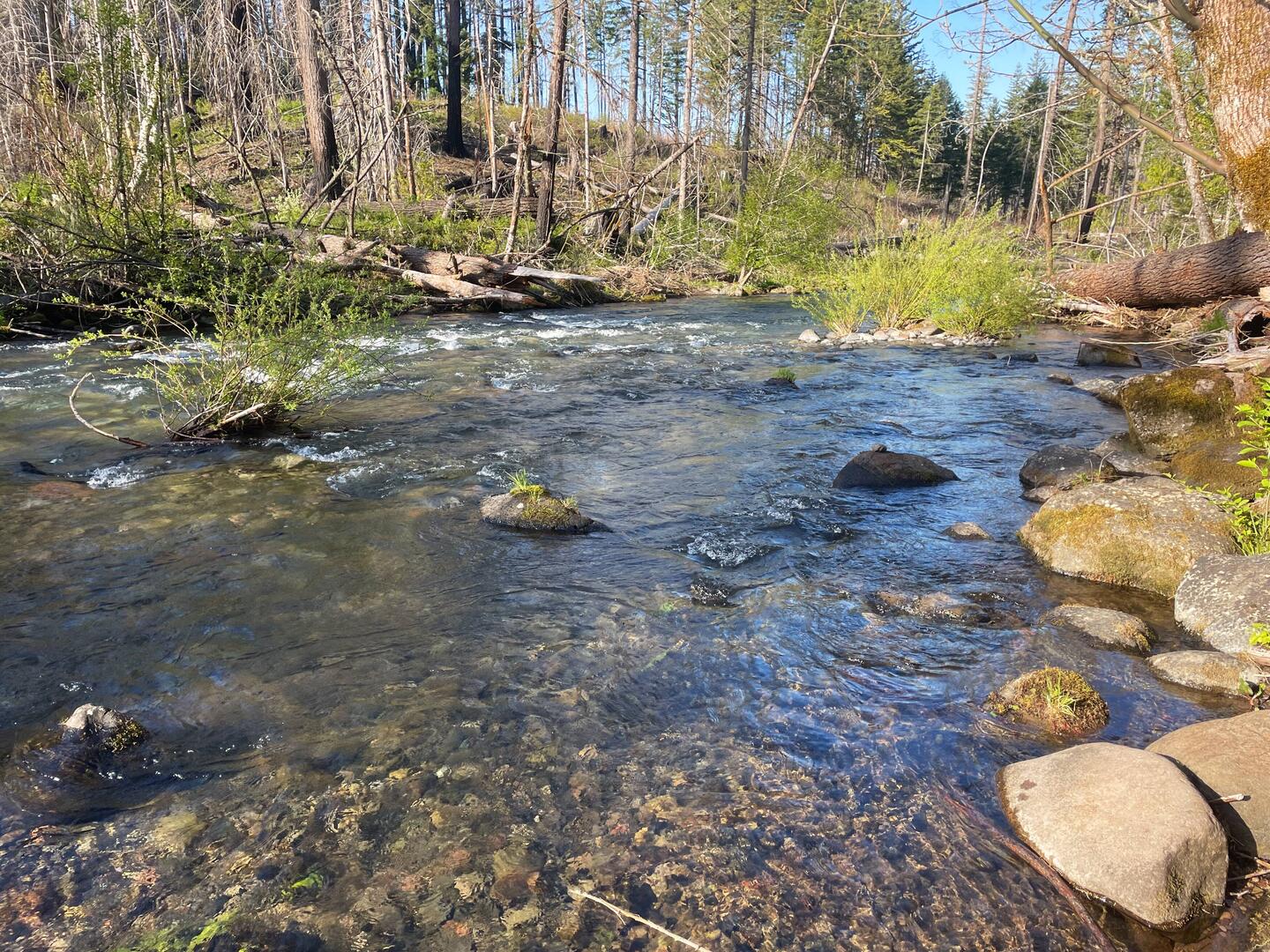 Beautiful, clear stream by our campsite