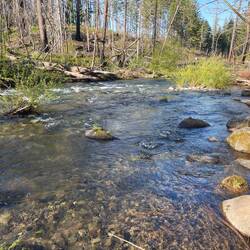 Beautiful, clear stream by our campsite