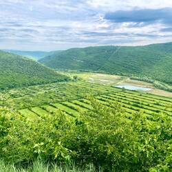 Un peu couvert au surplomb de la vallée