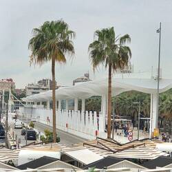 Palmeral de la Sorpresas