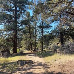 High desert walking