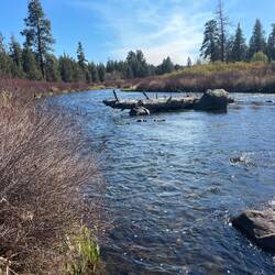 Deschutes river
