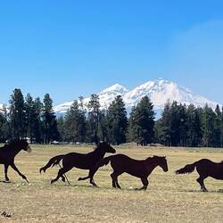 Iconic Bend scene