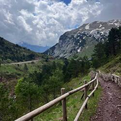 Fancy Spanish trail