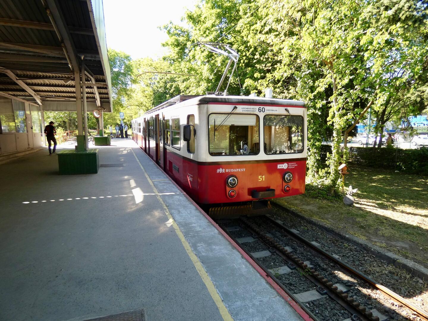 Cog Wheel Railway