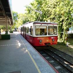 Cog Wheel Railway
