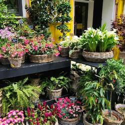 Flower store
