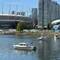 Bill took this photo of our three boats