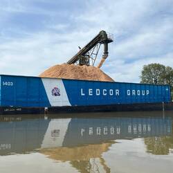 Loading the saw dust or wood chips onto a barge.