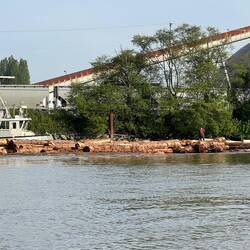 Putting together log booms
