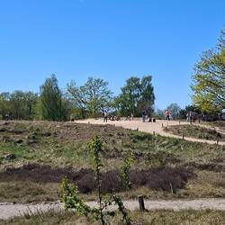 Heide in Hamburg